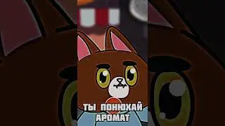 Подходи за шаурмой, сытый уходи домой... Но Кот-Компот 