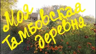 Деревня - это супер! Тамбов - мы поехали в родную деревню.