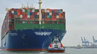 Biggest Ships In The World
