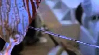 Fight   ghost clip