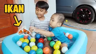 Kyo Mandi Bareng Ikan