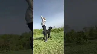 Чтобы маму не украли 😂 #юмор #здоровье #психология