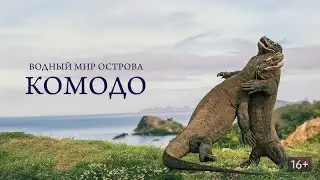 👨‍👨‍👧‍👧ПУТЕШЕСТВИЕ В ОДНО ИЗ САМЫХ КРАСИВЫХ МЕСТ! Водный мир острова Комодо. Cемейный фильм.