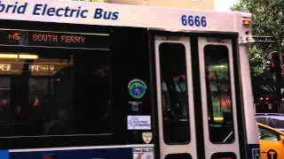 MTA NYCT Bus : Orion VII HEV 