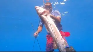 Facing Fears at Sea, Spearfishing The Great Barracuda