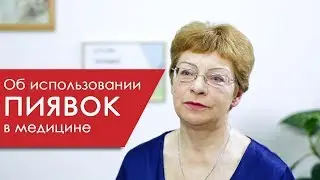 Об использовании пиявок в медицине