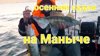 Веселовское водохранилище/Маныч осенний судак на паролон