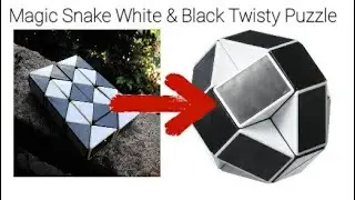 ShengShou Magic Snake White & Black Twisty PuzzleSheng | Hamed's view | #hamedsview