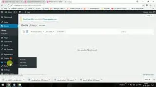 Migrate posts with images from one site to other using DeMomentSomTres Export plugin