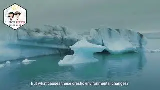 GRADE 9 BIOLOGY: How do species get extinct?