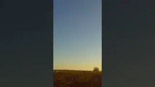 Марий пух летит 😁.Охота на гуся весной, гуменник чисто взят...