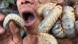 KAYA  BA NG SIKMURA MO?