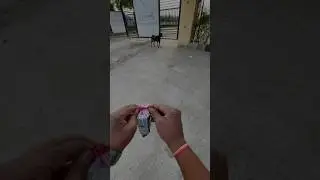 Dog Dara hua tha, little scared 🥺🙏🏻 #MR.AJ_RIDER #bike #r15v4 #viral #motovlog #trending #shoot