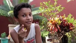 Respondendo perguntas