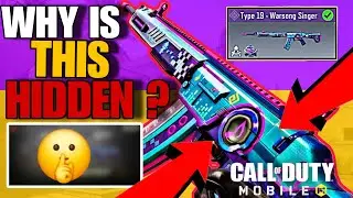Why the Type 19 is the MOST LETHAL Gun in Call of Duty