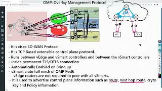 #SDWAN in Hindi Part 4 | OMP | What'sapp +91-9990592001