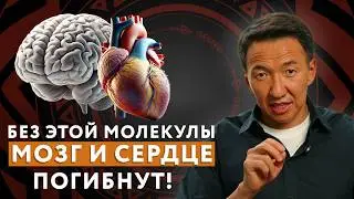 This AMAZING MOLECULE affects the BRAIN, HEART, BLOOD VESSELS, and IMMUNITY! // 