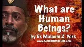 What are Human Beings?