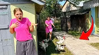 Orășeanca a PIERDUT GĂINILE / Petronela și Valiușa o Alungă acasă 😱