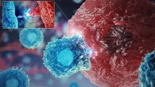 Oncology Cell Therapy: engineering innovative CAR-T cells