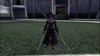 Lineage 2 Transformations