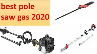 best pole saw gas 2024
