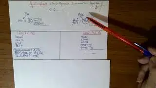 Урок №10 Артикли (Лист № 10).