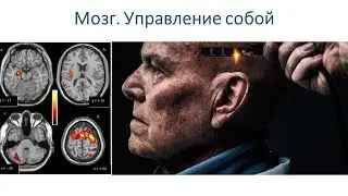 Мозг и нейротехнологии  Управление собой