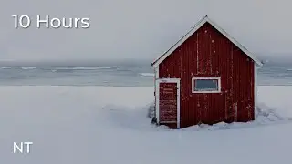 Winter Ocean Sounds on Snowy Beach: Gentle Waves & Cold Wind Sounds for Sleeping FAST: White Noise