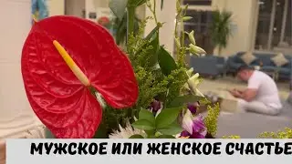 Мужское или Женское Счастье, что Лучше