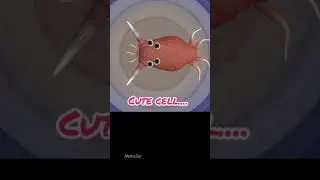 Every Spore Player Understand....