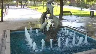 Istanbul, riapre Gezi Park. Fermato un fotografo italiano