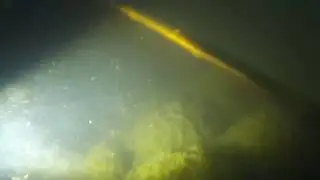 Подводные работы по очистке пруда водолазами от рыбы