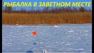 НОВОГОДНЯЯ РЫБАЛКА НА ЖЕРЛИЦЫ!!! ЗАВЕТНЫЕ МЕСТА И ПЕРВЫЕ ТРОФЕИ / MAX HUNTER