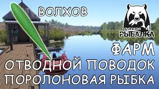 Русская рыбалка 4. р.Волхов. Фарм: Спиннинг. Ультралайт. Отводной поводок. Поролоновая рыбка.