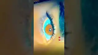 сапанэ яка