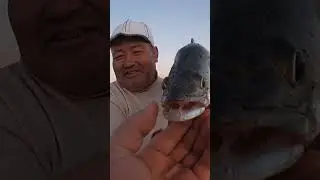 Завтра будет видео!