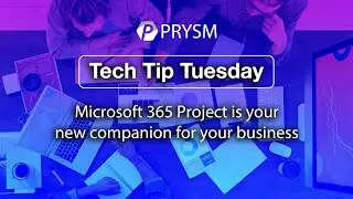 Microsoft 365 Project is your new companion for your business