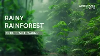 Rainforest Rain - 10 Hours Sleep Sound - Black Screen