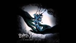 ŤėĦЪ - Collision With The Unknown