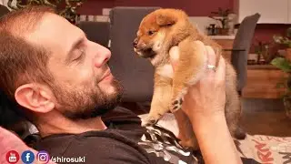 hooman #2 loving potat Oji ❤️