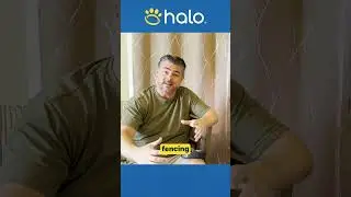 Best Alternative Solution to Electric Fence for Dog Safety