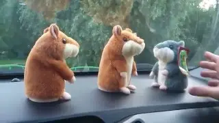 ПРИКОЛЬНЫЕ ХОМЯКИ ПОВТОРЮШКИ ПОЛНЫЙ РЖАЧ