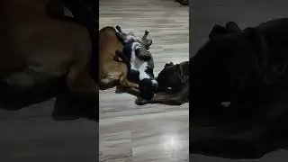 Забота и любовь.