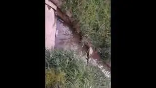video 2014 06 16 20 09 24