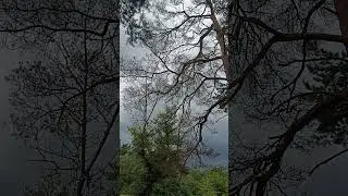 сторис перед бурей