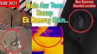 SSD 3031 | Main Aur Teen Saanp Ek Kamray Main..| New Extreme Haunted Location |