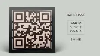 Baugosse - Shine , Featuring Texture Like Sun (Official Audio)