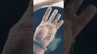 комбикорм для животных  всех видов