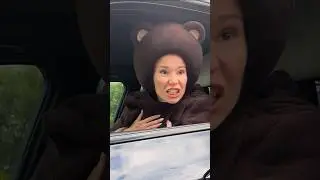 Не шути с медведем 